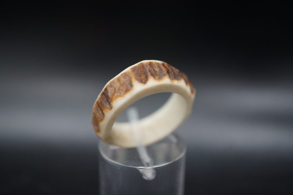 Hirschhornring 17mm – Bild 3
