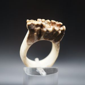 Ring Rehrose 18mm