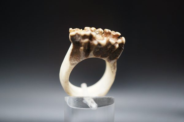 Ring Rehrose 18mm