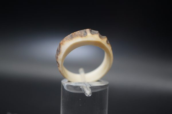 Hirschhornring 19mm – Bild 4