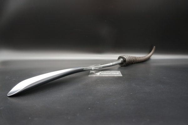 Schuhlöffel Springbock – Bild 2