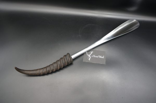 Schuhlöffel Springbock – Bild 3