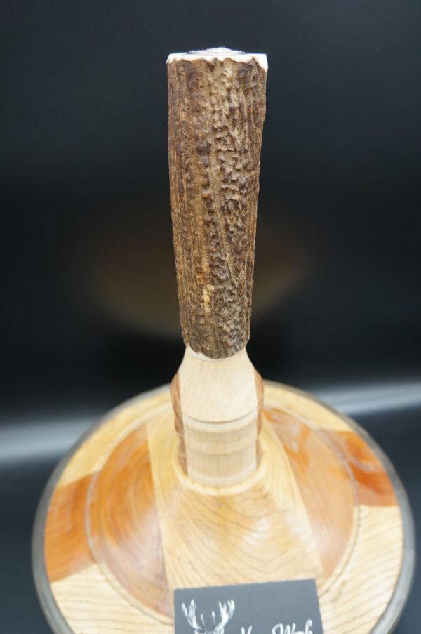 Eisstock Hirsch – Bild 3