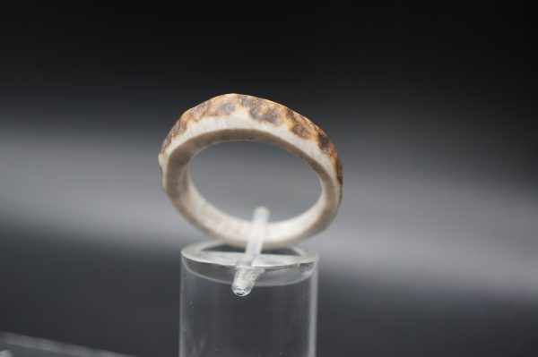 Hirschhornring 20mm – Bild 2
