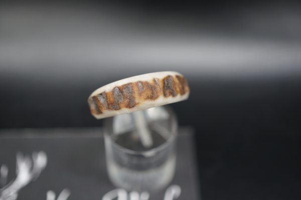 Hirschhornring 19mm – Bild 6