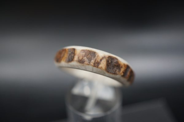Hirschhornring 21mm – Bild 4