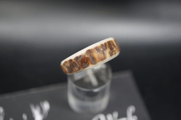 Hirschhornring 19mm – Bild 3