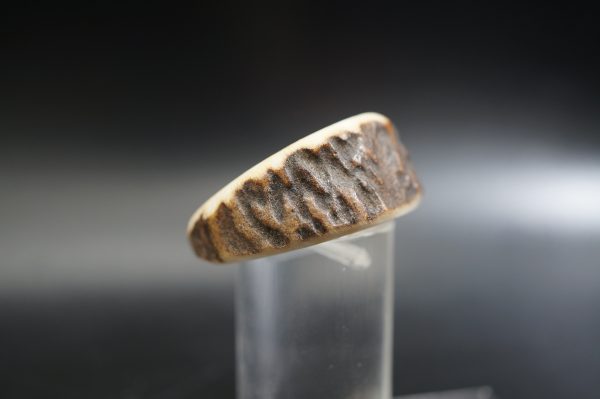 Hirschhornring 20mm