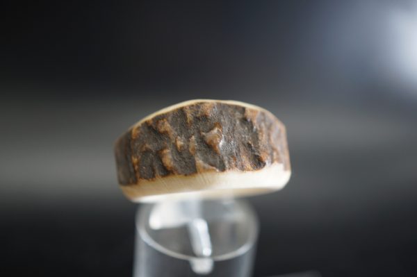 Hirschhornring 20mm – Bild 2