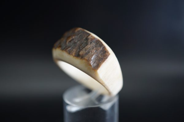 Hirschhornring 20mm – Bild 3