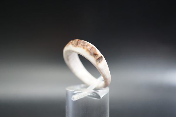 Hirschhornring 20mm – Bild 4