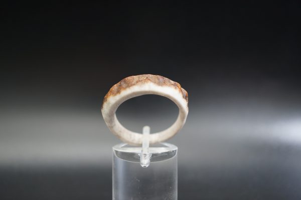 Hirschhornring 20mm – Bild 5