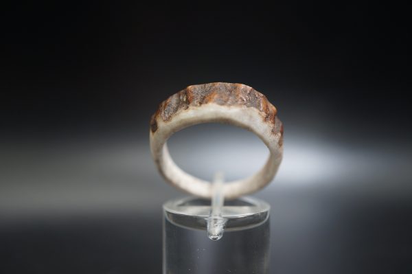 Hirschhornring 20mm – Bild 2