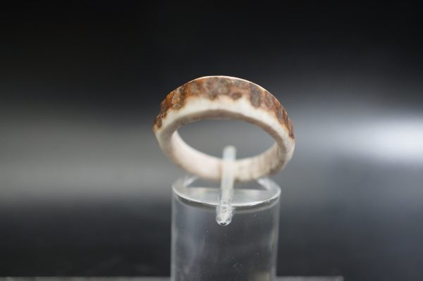 Hirschhornring 19mm – Bild 3