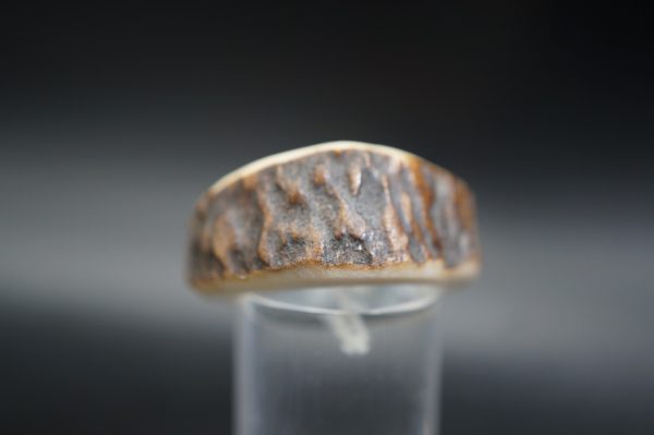 Hirschhornring 20mm