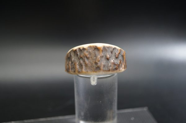 Hirschhornring 20mm – Bild 2
