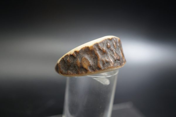 Hirschhornring 20mm – Bild 2
