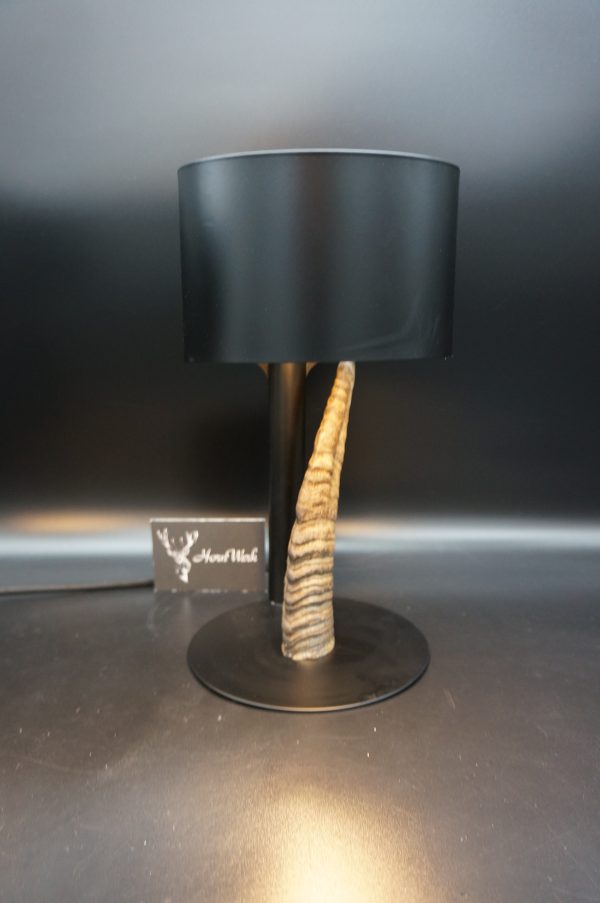 Lampen Set Steingeiß – Bild 12