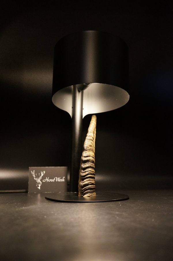 Lampen Set Steingeiß – Bild 4