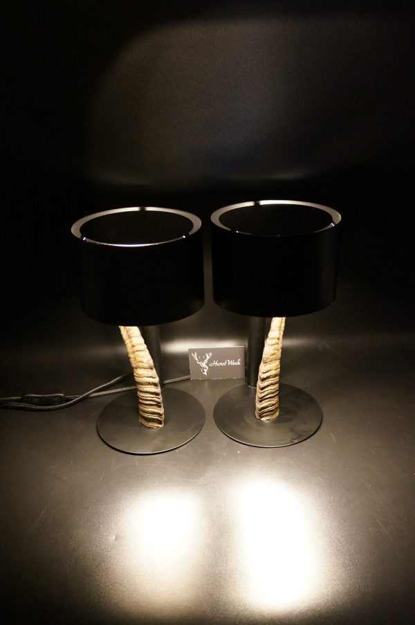 Lampen Set Steingeiß – Bild 18