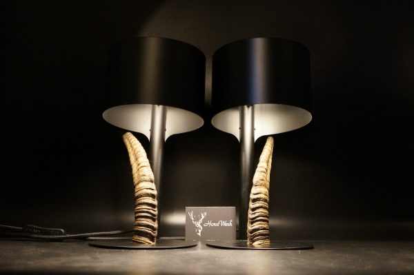 Lampen Set Steingeiß – Bild 7