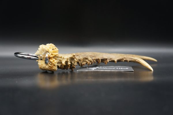 Flaschenöffner XXL – Bild 6