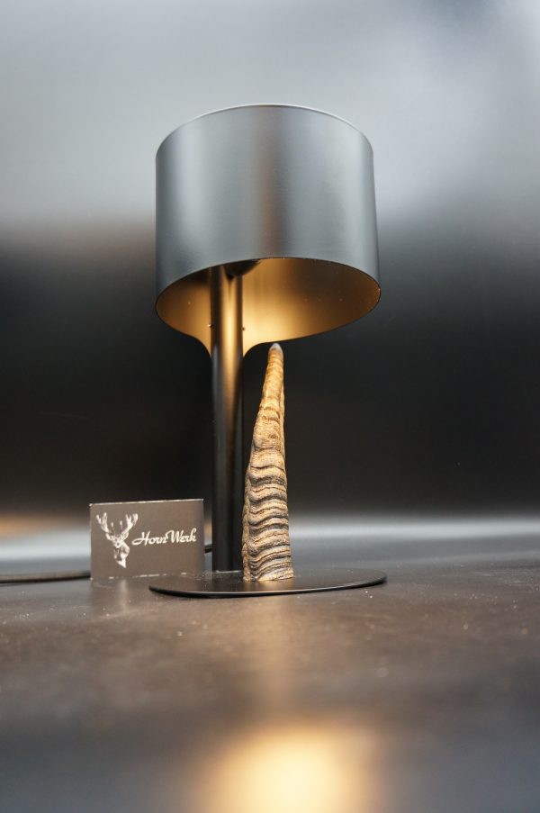 Lampen Set Steingeiß – Bild 13