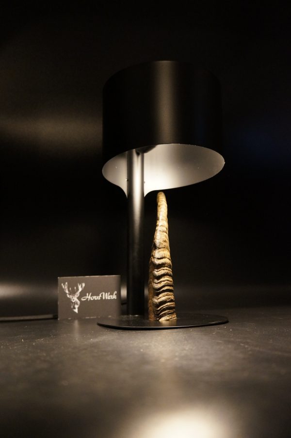 Lampen Set Steingeiß – Bild 14