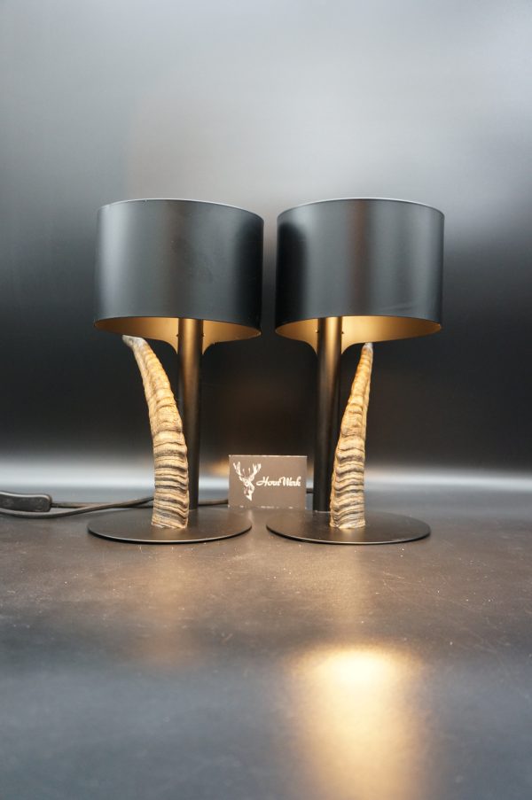 Lampen Set Steingeiß – Bild 9