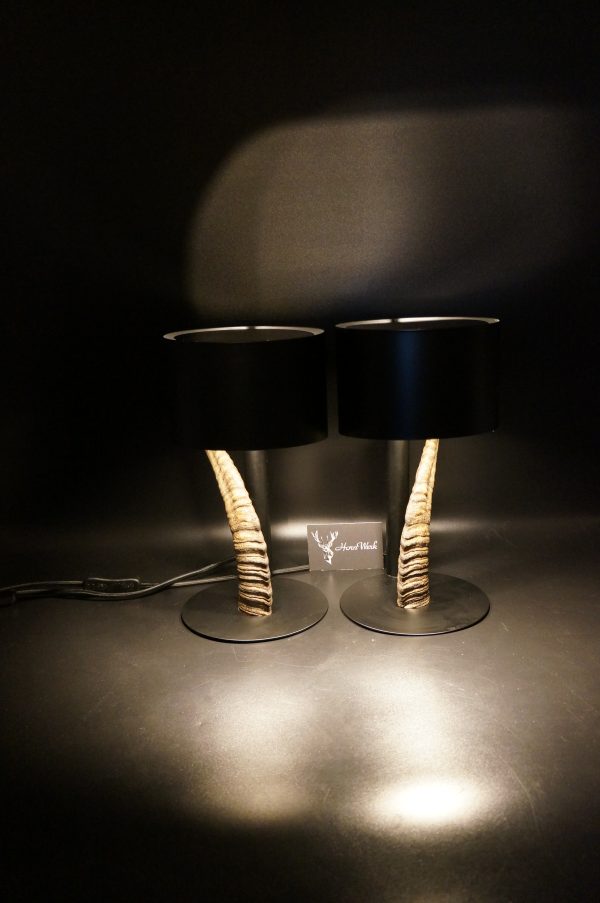 Lampen Set Steingeiß – Bild 11