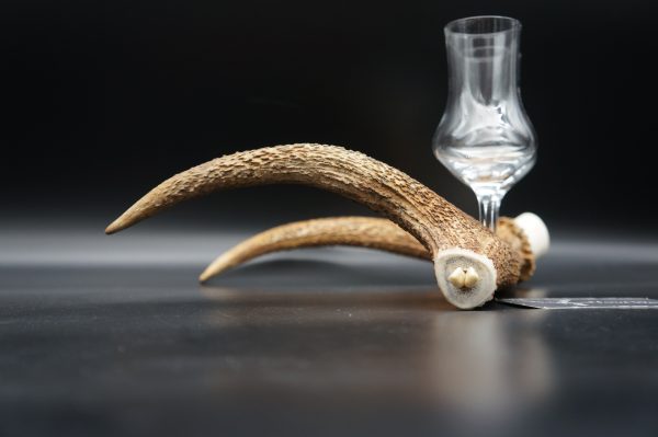 Geweihbar 2er Hirsch – Bild 9