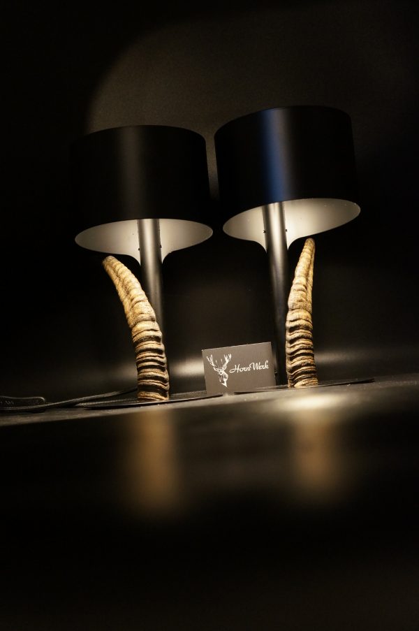 Lampen Set Steingeiß – Bild 10
