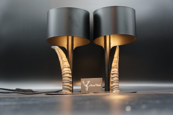 Lampen Set Steingeiß – Bild 8