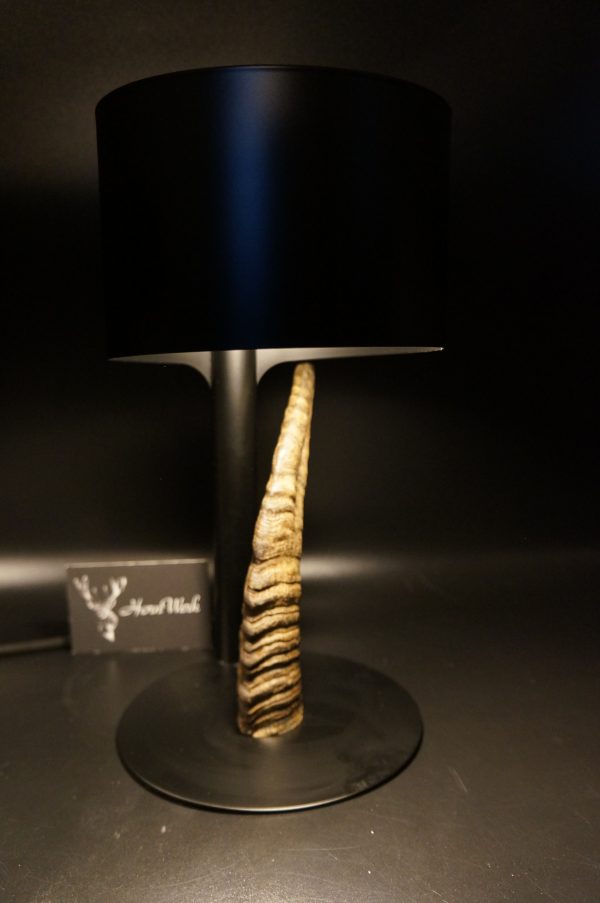 Lampen Set Steingeiß – Bild 19