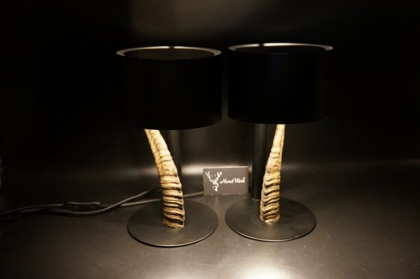 Lampen Set Steingeiß – Bild 6