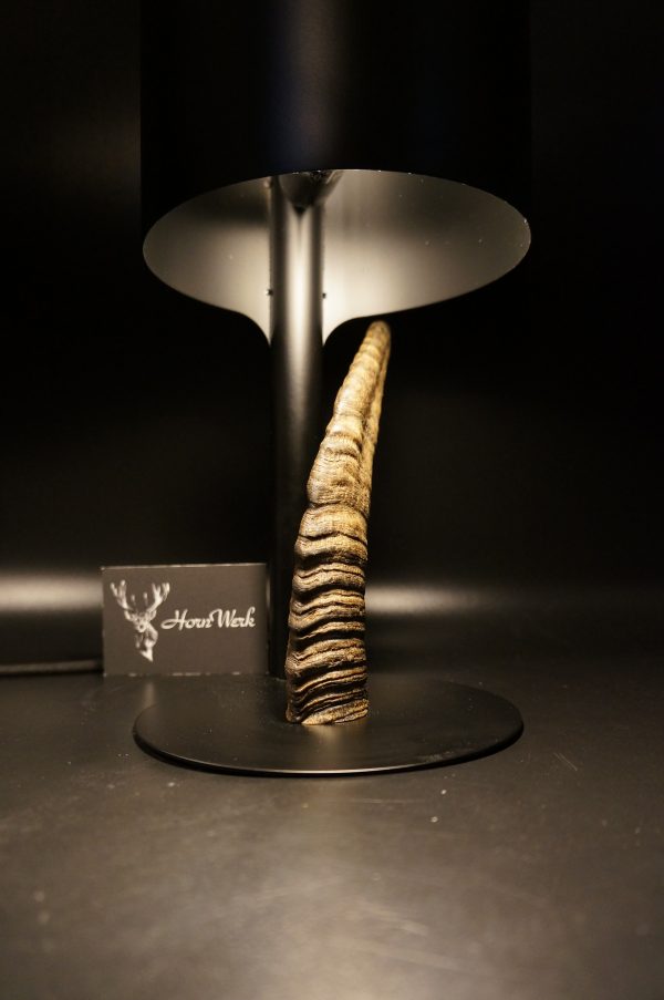 Lampen Set Steingeiß – Bild 3