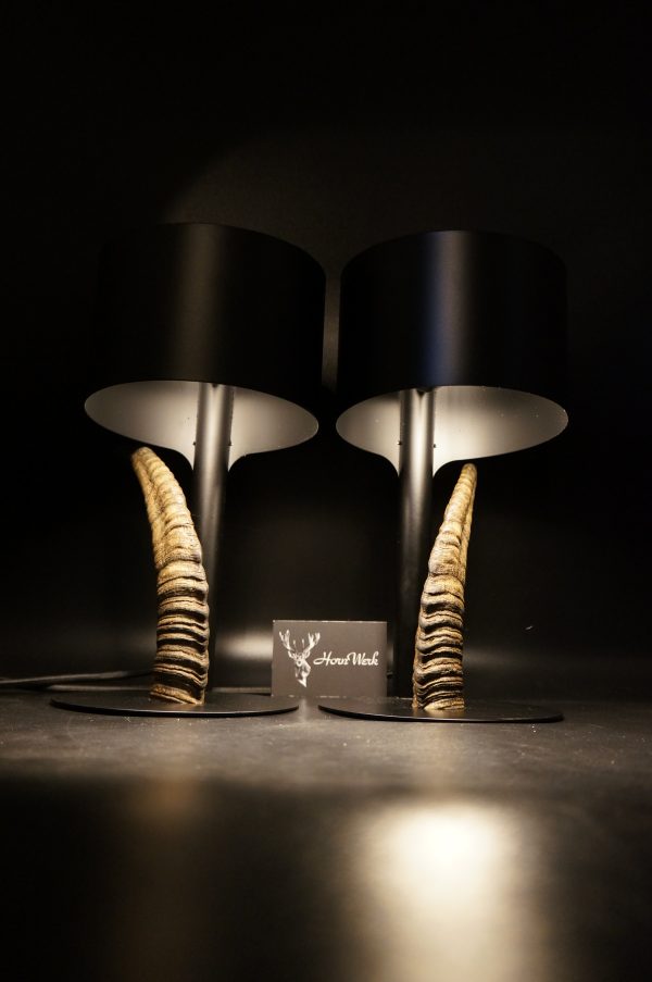 Lampen Set Steingeiß – Bild 17