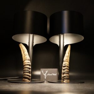 Lampen Set Steingeiß