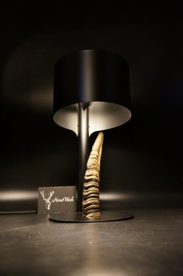 Lampen Set Steingeiß – Bild 16