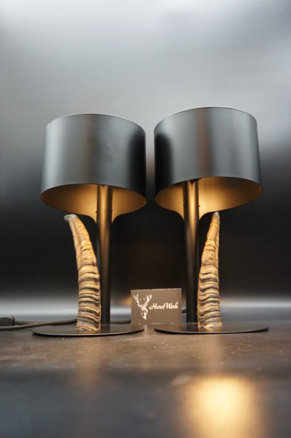 Lampen Set Steingeiß – Bild 2