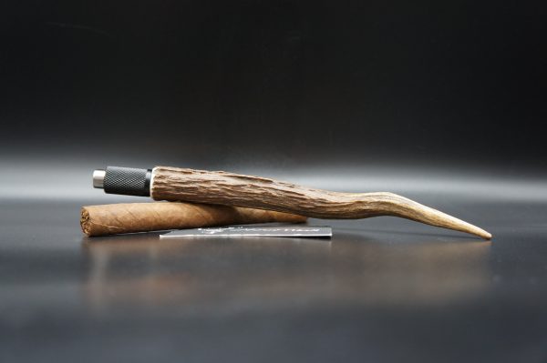 Zigarrenbohrer Hirsch XXL – Bild 3