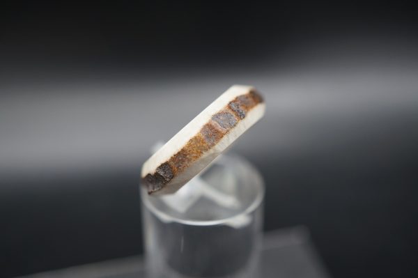 Hirschhornring 17mm – Bild 3