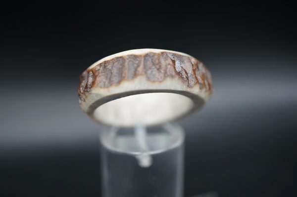 Hirschhornring 21mm