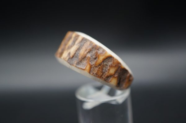 Hirschhornring 20mm – Bild 2