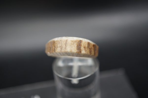 Hirschhornring 16mm – Bild 4