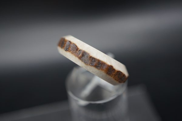 Hirschhornring 17mm – Bild 5