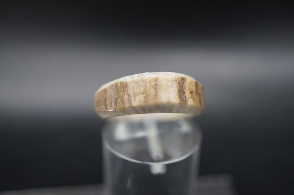 Hirschhornring 16mm – Bild 2