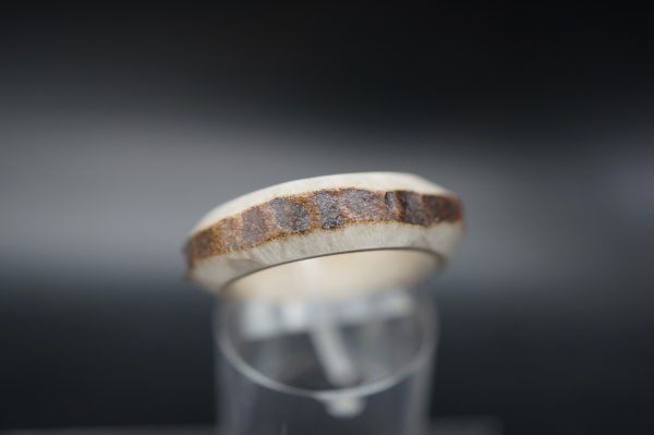 Hirschhornring 17mm – Bild 4