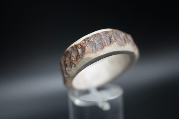 Hirschhornring 21mm – Bild 3