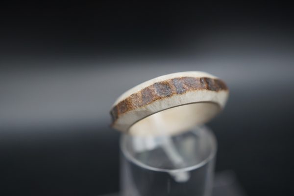 Hirschhornring 17mm – Bild 2